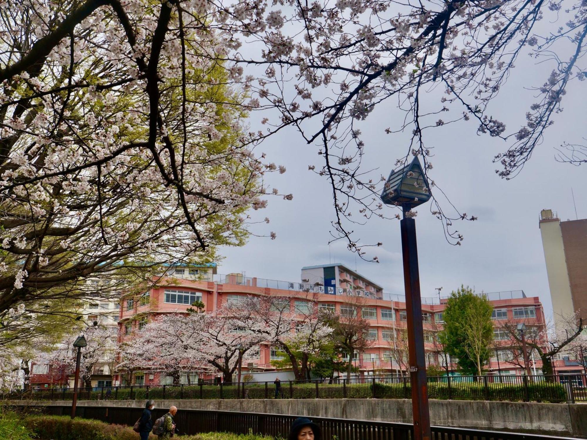 Family Or Business Travel 20 Percent Off Free Ikebukuro Shuttle Garden Up To 7 Guests Tokyo